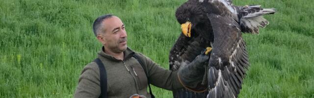 Ogroman orao proleteo nam je pored glave na 2 km od centra Beograda: Nismo ni znali da je on nečiji mezimac!