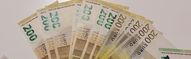 Nestao Darijus, očajna vlasnica nudi veliku novčanu nagradu onome ko ga pronađe!