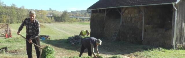Традиционално обичајно право у Србији јаче од закона, још увек се сматра да је женско дете „туђа кућа”