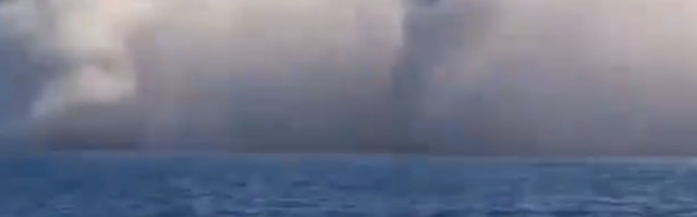 Drama na otvorenom moru! Devojku napala velika bela ajkula, muž sve gledao