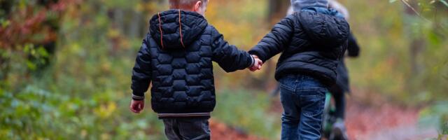 Oko 60.000 predškolaca ima razvojne smetnje i teškoće