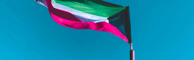 Кувајт: ухапшене 24 особе осумњичене за финансирање терористичких ентитета