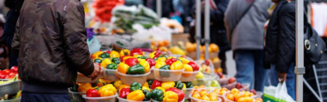 Нури: Рат на Блиском истоку негативно утиче на безбедност хране шром света