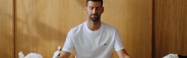 Đoković na jogi, a onda su uletele koze... Imamo li najbolju reklamu svih vremena sa Novakom /VIDEO/