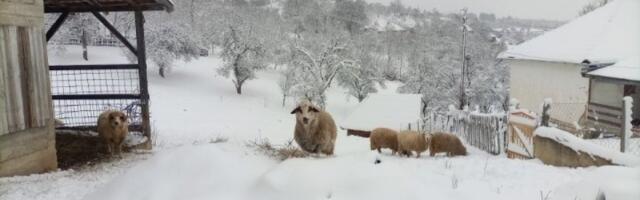 U ovom delu Srbije pao sneg metar visine! (Foto)