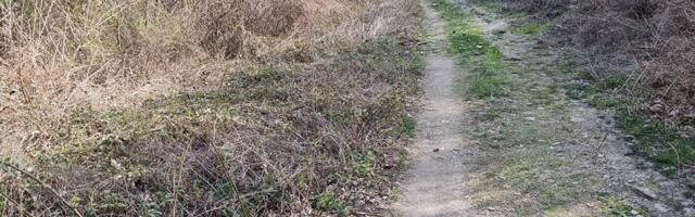 Očišćen prilaz drevnoj Tvrđavi „Markovo kale“