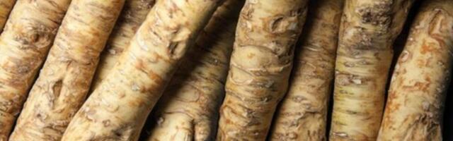 Ovaj prirodni antibiotik otvara sinuse i jača imunitet! Nema zdravijeg, posle njega svi osete isto