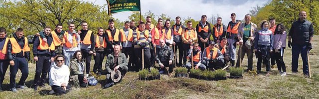 ZASADI DRVO: Nove šume za nova pokolenja