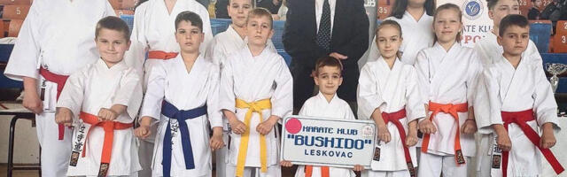 Takmičari karate kluba Bušido iz Leskovca osvojili medalje ma Međunardnom takmičenju