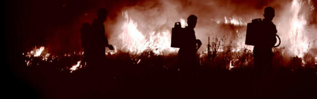 Izbio požar u fabrici u Apatinu: Gust, crn dim prekrio grad, vidi se i u Somboru (VIDEO)