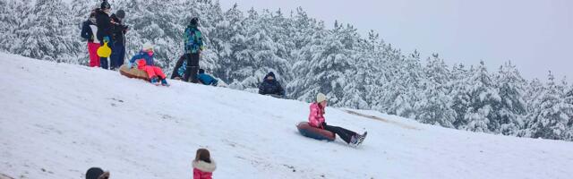Zimski raspust tek počeo, a po školama se pronela vest da će biti produžen: Šta kaže Ministarstvo prosvete?