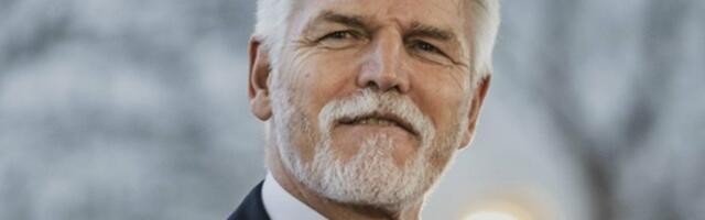 Бик у продавници порцелана