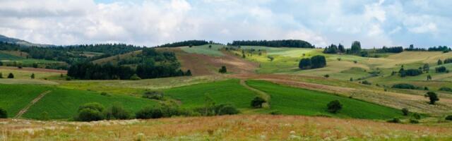 Impozantne ptice uslikane na Pešterskoj visoravni: Moćnog letača proučavali i naučnici