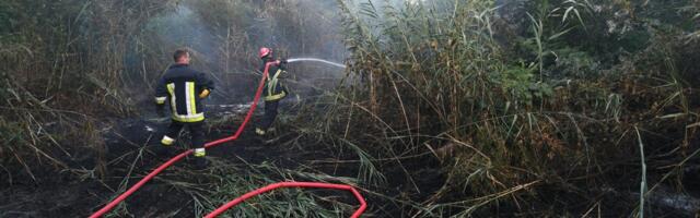 Drama kod Šapca: Vatra stigla do porodičnih kuća, komšije i vatrogasci sprečili tragediju