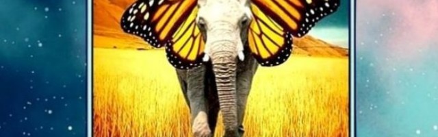 ŠTA STE PRVO UGLEDALI? Ovaj odgovor otkriće SVE O VAŠOJ PODSVESTI!