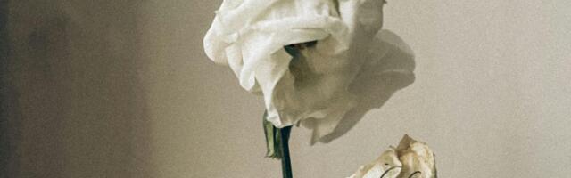 Nedeljni horoskop od 3. do 9. novembra 2025: Mars vas poziva da sagledate svoje ciljeve