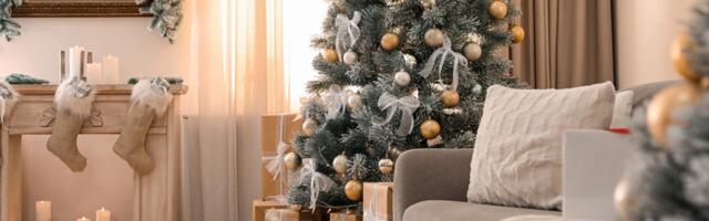 Kada treba raskititi jelku? Postoji narodno verovanje koje otkriva precizan datum