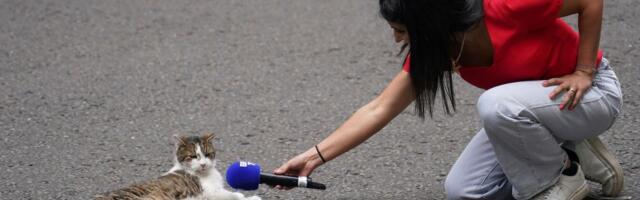 Mačak Lari danas obeležava 15 godina boravka u rezidenciji britanskog premijera