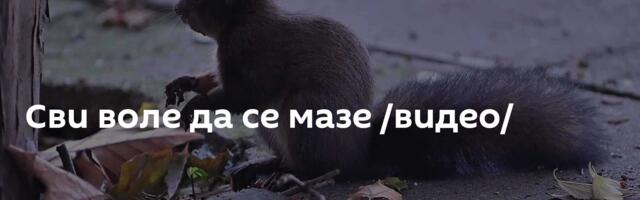 Сви воле да се мазе /видео/