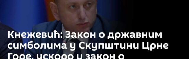 Кнежевић: Закон о државним симболима у Скупштини Црне Горе, ускоро и закон о држављанству