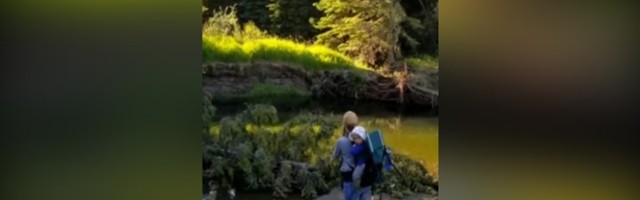 Pecanje, divan ambijent i deca: Kad počeše VUKOVI (VIDEO)