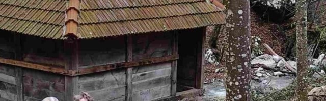 Gazda Toma i Saša su godinama lutali po svetu, obišli sve od Amerike do Afrike i vratili se u svoj rodni kraj, a onda započeli nesvakidašnju avanturu... (VIDEO)