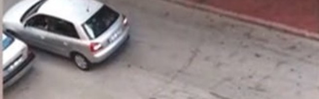 NAPRED, NAZAD, NEMAM GDE, OVAJ PARKING MALI JE! Ovo će vas nasmejati do suza!
