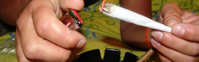 IDUĆE GODINE VEROVATNO REFERENDUM O LEGALIZACIJI MARIHUANE: Pristalice ozakonjenja za nedelju dana skupile pola miliona potpisa!