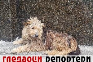 Гледаоци репортери (22. децембар 2022)