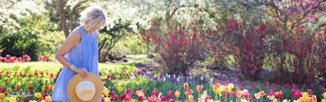 (FOTO) OVO JE JEDINI CVET KOJI PREŽIVI ZIMU! Čak ni NISKE temperature mu NE MOGU NIŠTA