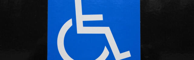 Mašta i zajedništvo na dan osoba sa invaliditetom: Opština Novi Beograd obeležila Međunarodni dan osoba sa invaliditetom