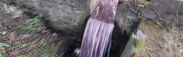 ŠOKANTAN PRIZOR U RAKOVICI! Topčiderka promenila boju - koritom teče roze voda! (VIDEO)