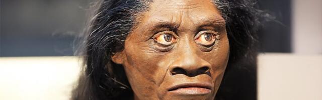 Utvrđeno zašto su izumrli hobiti: Šokiraće vas razlog - Tiče se suša