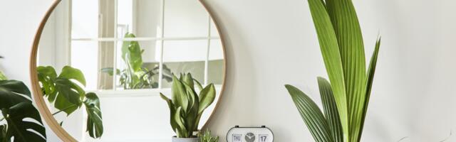 Kako da „izbrišete“ ogrebotine sa stakla uz samo 2 stvari koje već imate kod kuće