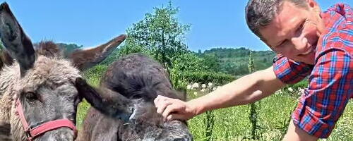 "Volim sarmu i musaku, a kupus obožavam" Švajcarac se doselio u selo kod Valjeva, čuva magarce, guske i kokoške "U Švajcarskoj više nema ovoga..."