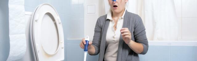 Neprijatan miris iz wc šolje? Rešenje se nalazi u kuhinji, NIŠTA VAS NE KOŠTA, a rešava problem