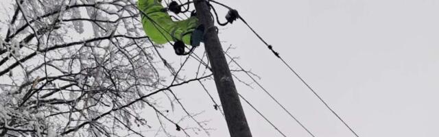 Živković (EPS): Domaćinstva koja su tokom januarskih nepogoda ostala bez struje oslobođena plaćanja računa za taj mesec