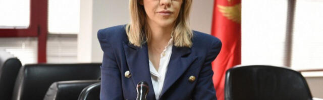 UKINUT PRITVOR VESNI BRATIĆ!