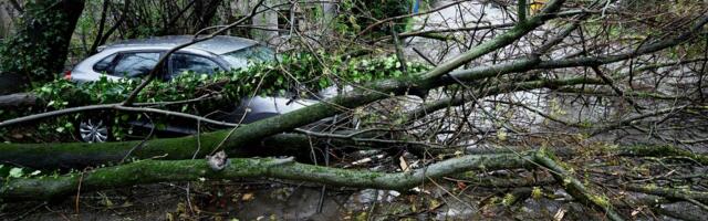 Vetar ruši stabla po Zagrebu, a na autoputu jeziva scena: Pogledajte šta je napravio šleperu s prikolicom!