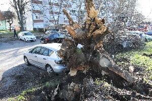 Невреме на подручју Осјечко-барањске жупаније, оштећено 11 школа