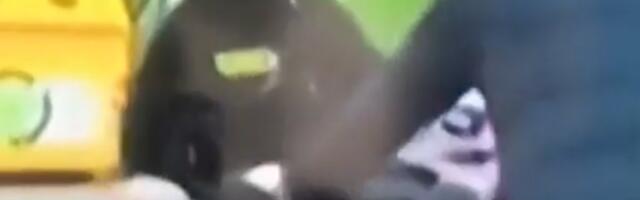 Uhapšen osumnjičeni za napad i pljačku žene na Novom Beogradu