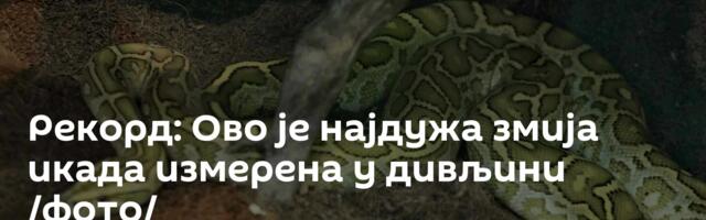 Рекорд: Ово је најдужа змија икада измерена у дивљини /фото/