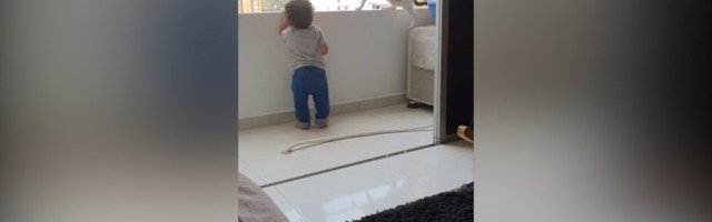 Beba kod ograde terase: Mačka ga drži na oku (VIDEO)