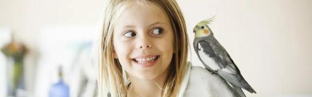 3 vrste ptica koje čine savršene ljubimce za decu