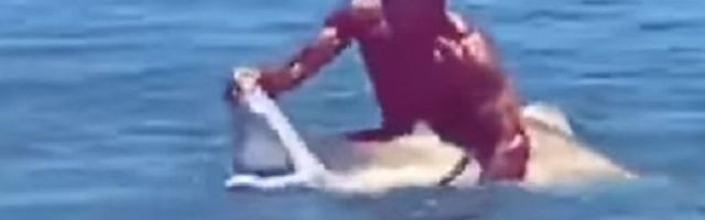 Zgrabio ajkulu i držao je za vilicu! (VIDEO)