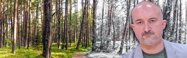 El Ninjo učinio svoje: "Ovo će biti jedna od najtoplijih zima u istoriji"