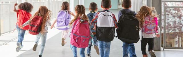 Đački rančevi preteški: Da li bi trebalo uvesti ormariće u osnovne škole u Srbiji?