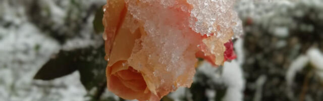 Разведравање у четвртак