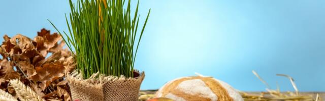 Nataša (14) izvukla vredan zlatnik iz česnice u Banjaluci