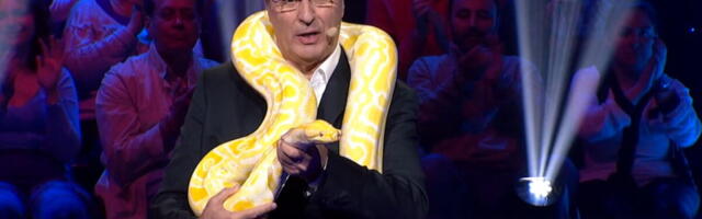 Zmija u studiju Superpotere napravila haos: Memedović je stavio oko vrata, a onda je usledio krah tragača